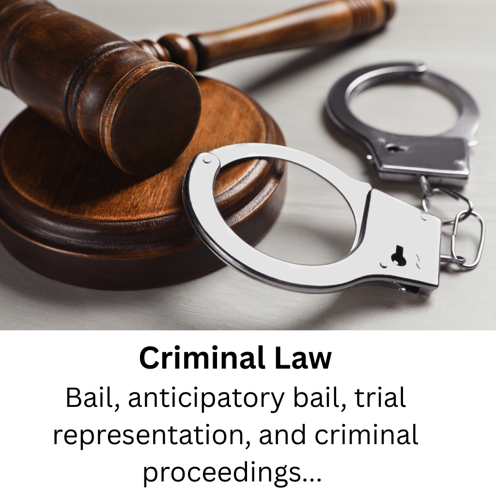 Bail, anticipatory bail, trial representation, and criminal proceedings.